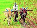 ५२ हजार ८५२ शेतकरी अजूनही मदतीच्या प्रतीक्षेत - Marathi News | 52 thousand 852 farmers are still waiting for help | Latest gadchiroli News at Lokmat.com