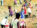 रोहयोतून पाच लाख मनुष्य दिवस रोजगार - Marathi News | 5 lakh man days employment from Roho | Latest gadchiroli News at Lokmat.com
