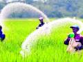 युरियाची कोंडी अखेर सुटणार - Marathi News | The urea dilemma will finally be solved | Latest gondia News at Lokmat.com