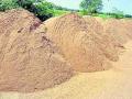 आदेश निघाले; पण मोफत रेती मिळणे झाले कठीण - Marathi News | Orders issued; But getting free sand became difficult | Latest gondia News at Lokmat.com