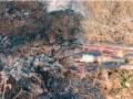 गोगापूर शिवारात ठिंबक सिंचनच्या नळ्या व पाईपांना आग लावून नुकसान - Marathi News | Damage by setting fire to drip irrigation pipes and pipes in Gogapur Shivara | Latest nandurbar News at Lokmat.com