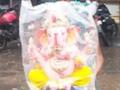 तळोद्यात भर पावसात मूर्ती खरेदीसाठी गर्दी - Marathi News | Crowds to buy idols in the pouring rain | Latest nandurbar News at Lokmat.com