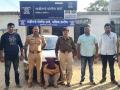 गोवंश चोरी करणाऱ्या गुन्हेगाराला अटक - Marathi News | Cattle thief arrested | Latest nashik News at Lokmat.com
