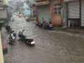 वणी परिसराला पावसाने झोडपले - Marathi News | The Vani area was hit by rain | Latest nashik News at Lokmat.com