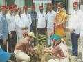 धुळ्यात वृक्ष दत्तक योजनेची जल्लोषात सुरूवात - Marathi News | The start of the tree adoption plan in the dust | Latest dhule News at Lokmat.com