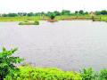 बांधी फुटल्याने पाणी वळले शेतशिवाराकडे - Marathi News | The water turned towards the farmland due to the construction of the dam | Latest vardha News at Lokmat.com