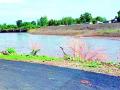 पुसद तालुक्यात दमदार पाऊस - Marathi News | Heavy rain in Pusad taluka | Latest yavatmal News at Lokmat.com