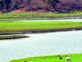 जलाशयांमध्ये १९ टक्के पाणी - Marathi News | In reservoirs, 90 percent water | Latest yavatmal News at Lokmat.com