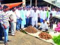 उपबाजारात आठवडे बाजार सुरू - Marathi News | Weekend market in subdivision | Latest nashik News at Lokmat.com