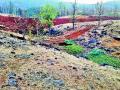 गुजरातच्या ‘काथा’साठी महाराष्टÑाच्या वनसंपदेला चुना - Marathi News | Opting for Maharashtra's forest resources for 'Kaitha' of Gujarat | Latest nashik News at Lokmat.com