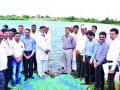 नाशिक पॅटर्नमुळे पाणीसाठ्यात वाढ - Marathi News |  Due to Nashik Pattern, water level increase due to the water level | Latest nashik News at Lokmat.com