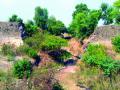 देश नदीचे पुनरुज्जीवन करण्याची मागणी - Marathi News |  Demand for river river revival | Latest nashik News at Lokmat.com