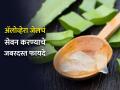 शरीरात जाताच कमाल करतं अ‍ॅलोव्हेरा जेल, फायदे वाचाल तर लगेच सेवन सुरू कराल - Marathi News | Aloe Vera Gel Benefits: Aloe vera gel may increase bone mass and insulin | Latest health Photos at Lokmat.com