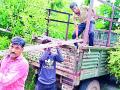 वनजमिनीवर अवैध उत्खन्नन वनविभागाची कारवाई - Marathi News | Illegal excavation forest department action on forest land | Latest amravati News at Lokmat.com