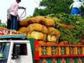 द्राक्ष, भाजीपाला वाहतुकीला पन्नास टक्के सबसिडी - Marathi News | Fifty per cent subsidy for transportation of grapes and vegetables | Latest nashik News at Lokmat.com