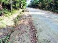 वनविभागाच्या जागेत रस्ता बांधकामाचे खोदकाम - Marathi News | Road construction works in forest area | Latest bhandara News at Lokmat.com