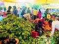 आवक घटल्याने भाज्यांचे दर कडाडले - Marathi News | Vegetable prices plummeted as arrivals declined | Latest bhandara News at Lokmat.com