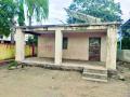 कोरोनाच्या नावाखाली तलाठ्यांची दांडी - Marathi News | Talathi absent under the name of Corona | Latest buldhana News at Lokmat.com