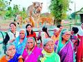 वृद्धाश्रमवासीयांनी केली ताडोबा सफर - Marathi News | Older Tadoba Travelers | Latest chandrapur News at Lokmat.com