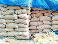 धान पट्ट्यात २ लाख ३ हजार क्विंटल धान खरेदी - Marathi News | Purchase of 2 lakh 3 thousand quintals of paddy in paddy belt | Latest chandrapur News at Lokmat.com