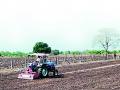 साडेचार लाख हेक्टर क्षेत्रावरील पेरणी खोळंबली - Marathi News | Sowing was done on an area of four and a half lakh hectares | Latest chandrapur News at Lokmat.com