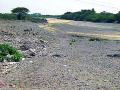 मार्च महिन्यातच नदीचे पात्र झाले ‘ड्राय’ - Marathi News | In March, the river became 'Dry' | Latest maharashtra News at Lokmat.com