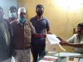 बोगस बियाणांप्रकरणी चौकशी करण्याची मागणी - Marathi News | Demand for inquiry into bogus seeds | Latest nashik News at Lokmat.com