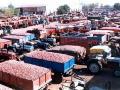 लॉक डाऊनमुळे कांदा निर्यातीत 35 टक्के घट - Marathi News | Onion exports down 35 per cent due to lockdown | Latest nashik News at Lokmat.com