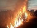 शॉर्टसर्किटमुळे लागलेल्या आगीत दिड एकर ऊस जळून खाक - Marathi News | Burn 1.5 acres of sugarcane in a fire caused by a short circuit | Latest nashik News at Lokmat.com