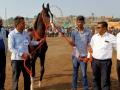 अश्व सौंदर्य स्पर्धेत ‘सौरभ’ प्रथम - Marathi News | 'Saurabh' first in horse beauty contest | Latest nandurbar News at Lokmat.com