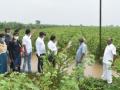 पाहणीदरम्यान शेतकऱ्यांनी व्यक्त केली नाराजी - Marathi News | Farmers expressed displeasure during the inspection | Latest nandurbar News at Lokmat.com
