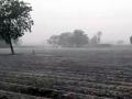 परभणी जिल्ह्यात पूर्णा, गंगाखेडमध्ये जोरदार पाऊस - Marathi News | Rainfall in Purna, Gangakhed in Parbhani district | Latest parabhani News at Lokmat.com