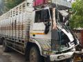 अपघातग्रस्त वाहनात गुरांची अवैध वाहतूक - Marathi News | Illegal transport of cattle in the wrecked vehicle | Latest jalgaon News at Lokmat.com