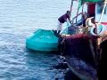 गस्तीनौकेला खोल समुद्रात आढळले दिशादर्शक बोया - Marathi News | Directional buoy found in the deep sea to the basin | Latest sindhudurga News at Lokmat.com