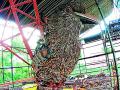 सेवाग्रामात आकारास येतेय शहरपक्ष्याचे शिल्प - Marathi News | City bird sculptures are taking shape in Sevagram | Latest vardha News at Lokmat.com