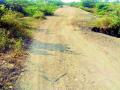 मोझरी-कानगाव रस्ता खड्डेमय - Marathi News | Moseri-Kanagua road potholes | Latest vardha News at Lokmat.com