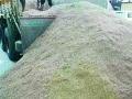 बांधकाम साइटवरील वाळूचे पंचनामे - Marathi News | The sand panchnama on the construction site | Latest nashik News at Lokmat.com