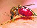माजी सभागृह नेत्याला डेंग्यू, सातपूरमधील प्रकार - Marathi News | The former auditorial leader has dengue, type in Satpur | Latest nashik News at Lokmat.com