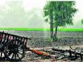 वार्षिक सभेकडे शेतकºयांची पाठ - Marathi News |  Read the farmers in the annual meeting | Latest nashik News at Lokmat.com