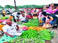 नाशिकरोड-सिन्नर फाटा आठवडे बाजार गजबजला - Marathi News | Nashik Road-Sinnar Fata Weekday Market Gazabjala | Latest nashik News at Lokmat.com