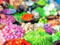 सर्वच भाजीपाल्याचे भाव गडगडले, उत्पादक शेतकरी हवालदिल - Marathi News | Prices of all vegetables have plummeted, and productive farmers are reeling | Latest amravati News at Lokmat.com