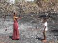 आडाळीत काजू बागायतीला आग ; लाखो रुपयांचे नुकसान - Marathi News | Fire in cashew nuts; Loss of millions of rupees | Latest sindhudurga News at Lokmat.com