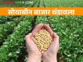 Soybean Market today: सोयाबीन मार्केट थंडावले, प्रतिक्विंटल मिळतोय केवळ एवढा भाव - Marathi News | | Latest agriculture News at Lokmat.com