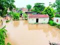 नदी काठावरील जोखमीच्या गावांचा पूर ओसरतो, मात्र जखमा कायम ! - Marathi News | The flood-prone villages along the river are flooded, but the wounds remain! | Latest chandrapur News at Lokmat.com