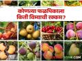 Crop Insurance : फळपिक विमा योजना लागू! कोणत्या फळपिकाला किती मिळणार विम्याची रक्कम? - Marathi News | Crop Insurance: Crop insurance scheme implemented! Which fruit crop will get how much | Latest agriculture News at Lokmat.com