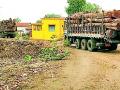 सोनेरांगीत नियमबाह्यवृक्षतोड - Marathi News |  Goldrand rules outline | Latest gadchiroli News at Lokmat.com