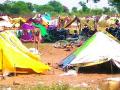 गोरखनाथ समाजाच्या लोकांची केली आरोग्य तपासणी - Marathi News | Health check up done for people of Gorakhnath community | Latest gadchiroli News at Lokmat.com