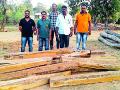 ७० हजारांच्या सागवानी पाट्या जप्त - Marathi News | 70 thousand sewage papers were seized | Latest gadchiroli News at Lokmat.com