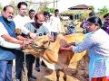 पशुपालन हा ग्रामीण अर्थव्यवस्थेचा कणा - Marathi News | Animal husbandry is the peasantry of rural economy | Latest gondia News at Lokmat.com