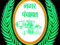 सहा नगरपंचायत निवडणुकीतून ७८ जणांचे नामांकन रद्द - Marathi News | 78 nominations canceled from six Nagar Panchayat elections | Latest chandrapur News at Lokmat.com